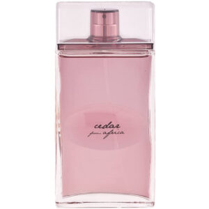 "TESTER" ALVIERO MARTINI 1^ CLASSE CEDAR FROM AFRICA edc uomo 100ml NO TAPPO